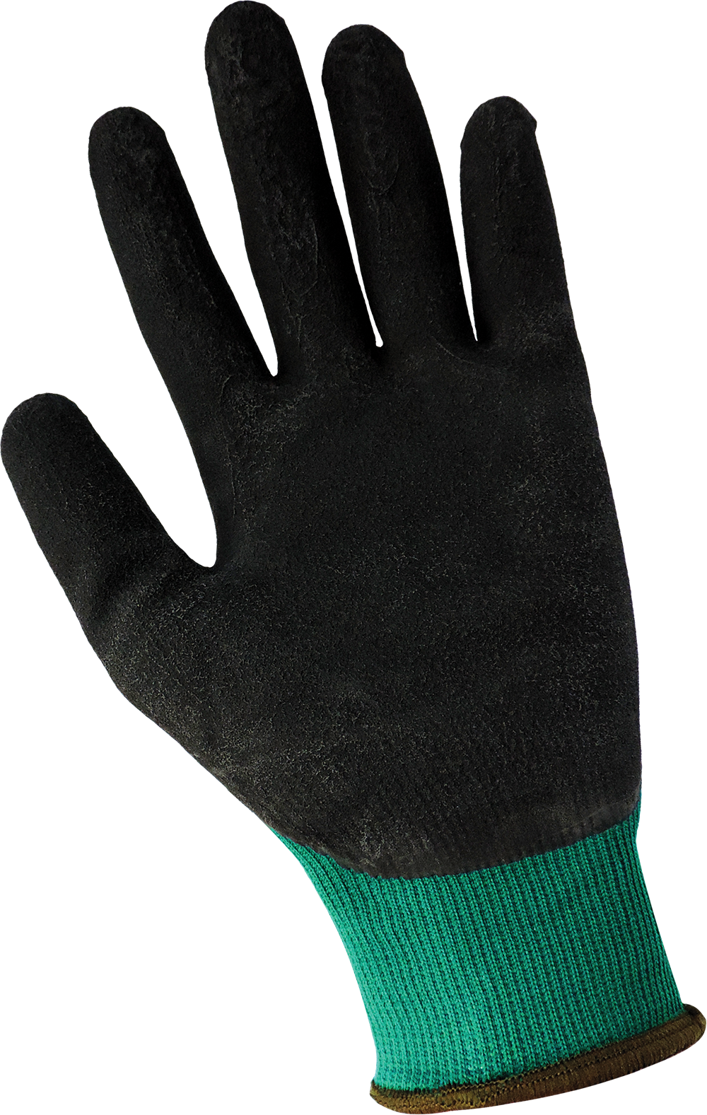 Global Glove 360 Palm View