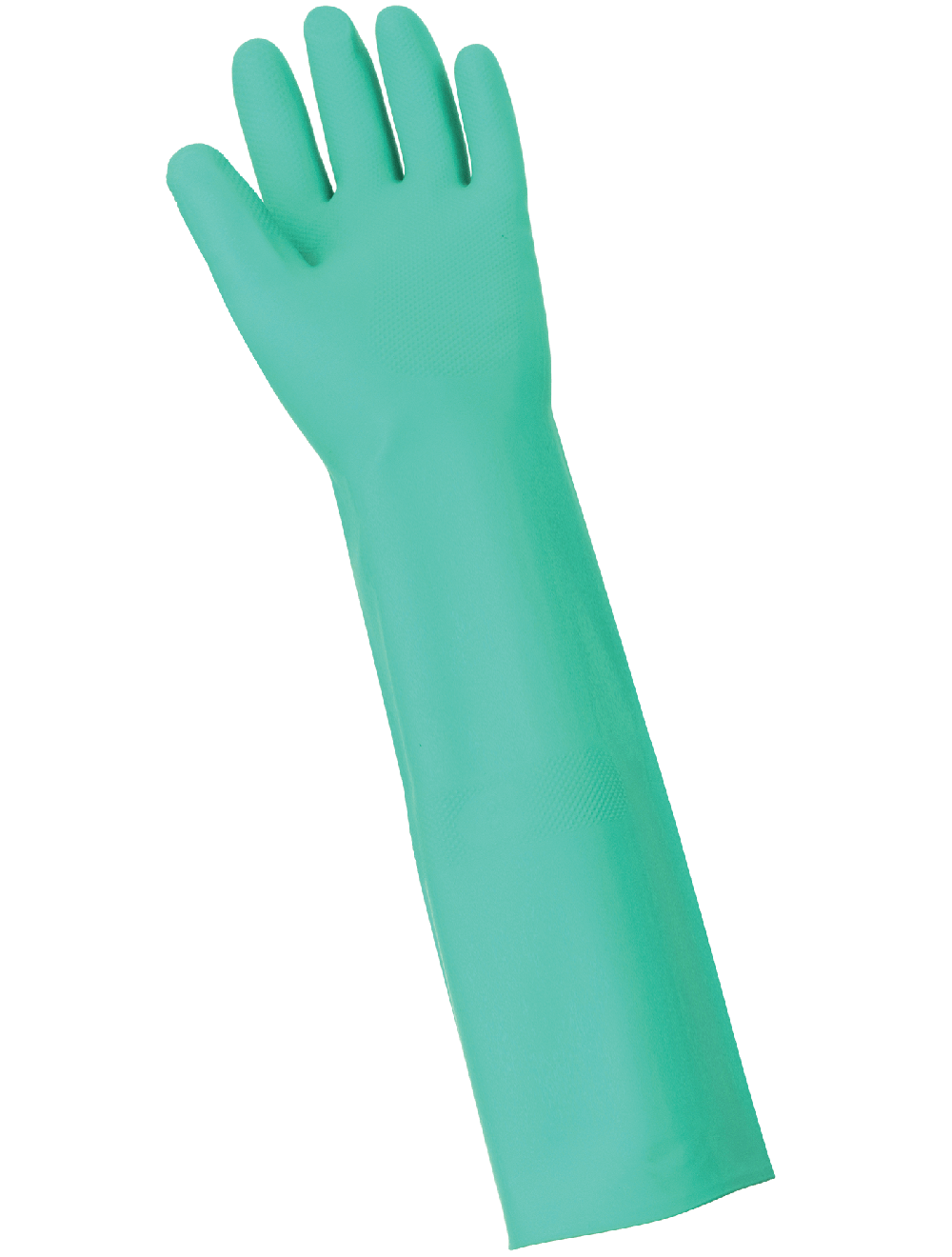 Global Glove 522-09 Palm View