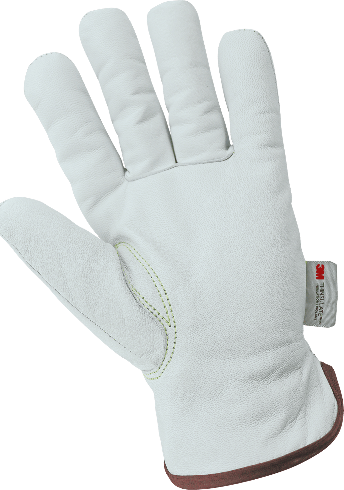 Global Glove CR3900INT Palm View