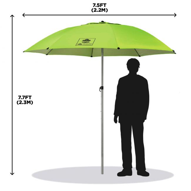 Ergodyne 12967 Dimensions