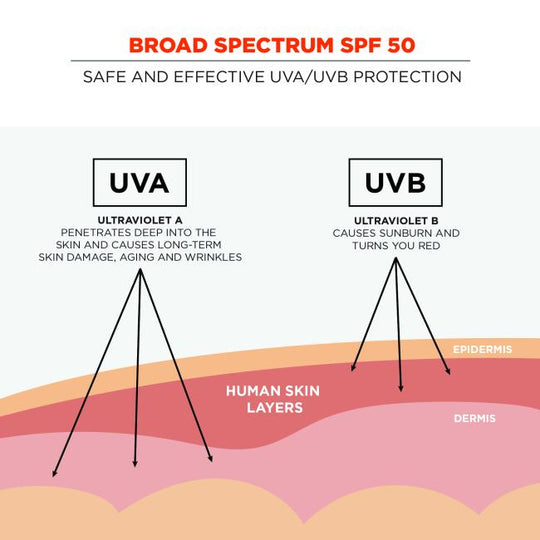 Ergodyne 16631 Broad Spectrum