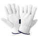 Global Glove 3200GINT-7 Goatskin Insulated Drivers Gloves